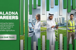 Baladna Careers in Doha & Across Qatar | Open Now for Recent Vacancies